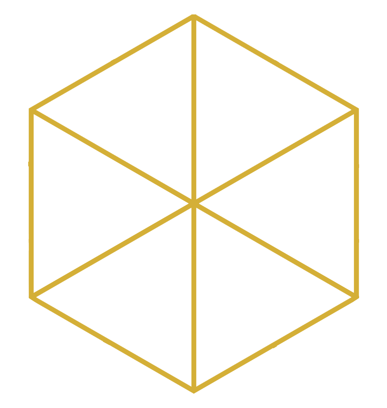 Logo VLAN